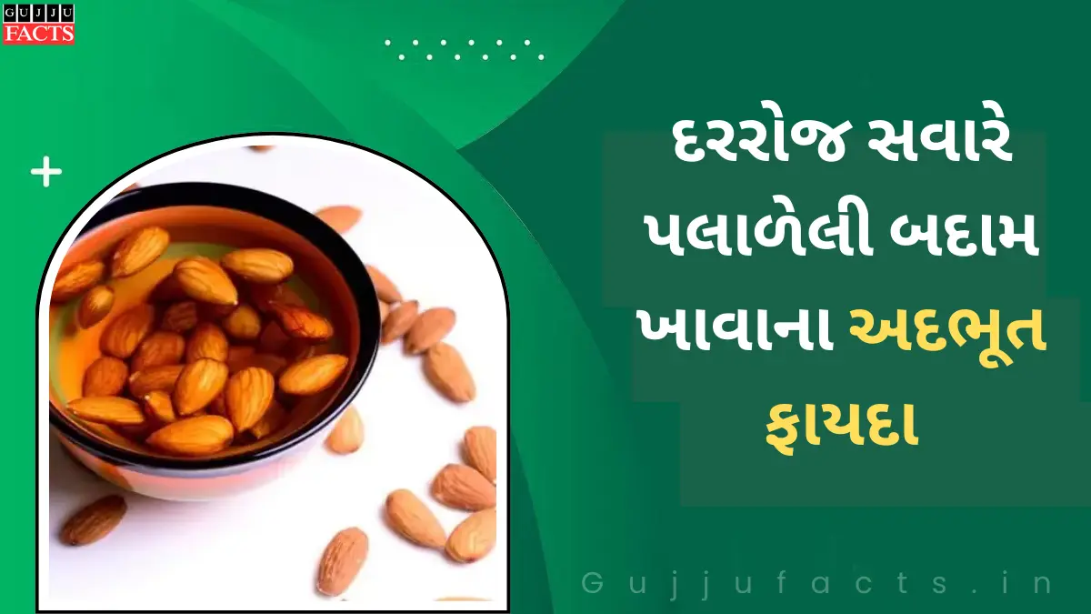 દરરોજ સવારે પલાળેલી બદામ ખાવાના અદભૂત ફાયદા, ડાયાબીટીસ થી લઈને હાડકાની સમસ્યાઓ દૂર થશે