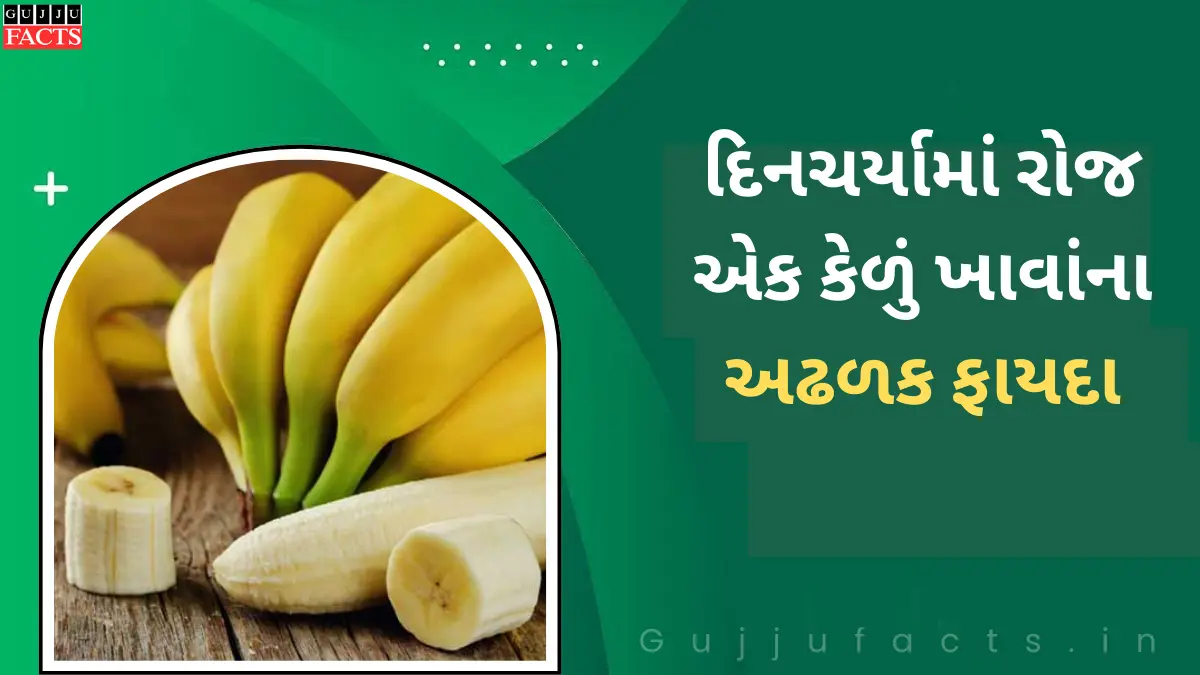 દિનચર્યામાં રોજ એક કેળું ખાવાંના અઢળક ફાયદા, હાર્ટથી લઈ પાચન સુધીની સમસ્યાઓ થશે દૂર