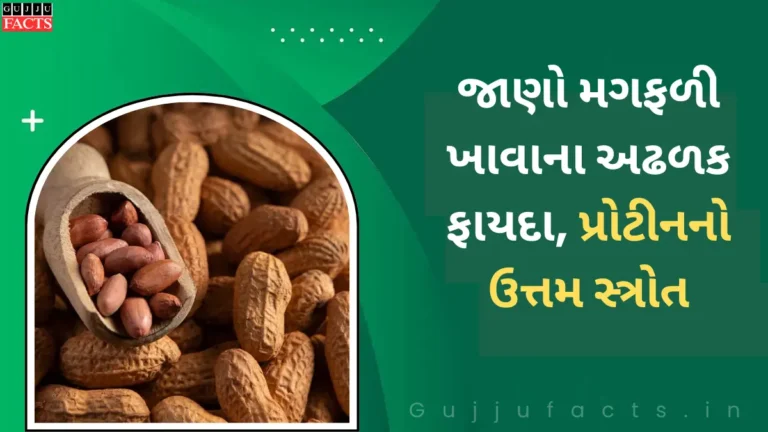જાણો મગફળી ખાવાના અઢળક ફાયદા | પ્રોટીનનો ઉત્તમ સ્ત્રોત | પાચનથી લઈને મગજની સમસ્યાઓ થશે દૂર