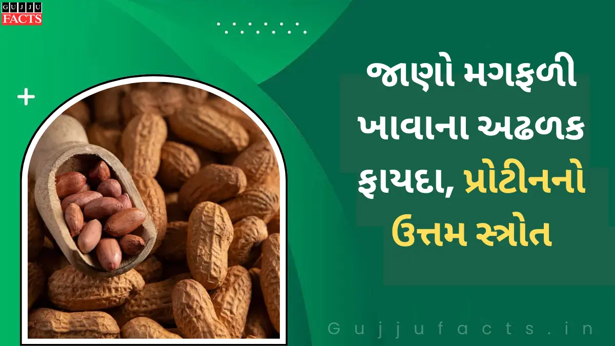 જાણો મગફળી ખાવાના અઢળક ફાયદા | પ્રોટીનનો ઉત્તમ સ્ત્રોત | પાચનથી લઈને મગજની સમસ્યાઓ થશે દૂર