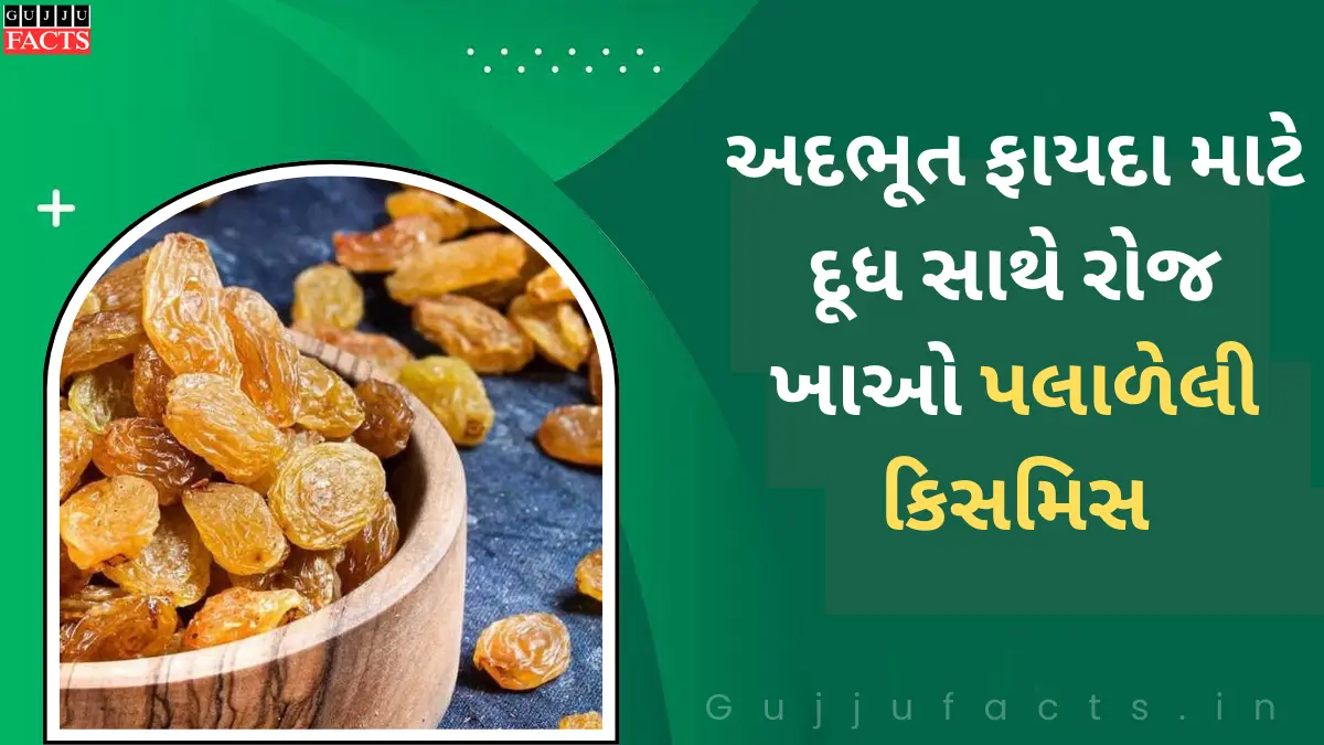 અદભૂત ફાયદા માટે દૂધ સાથે રોજ ખાઓ પલાળેલી કિસમિસ, ફિટનેસની ચાવી