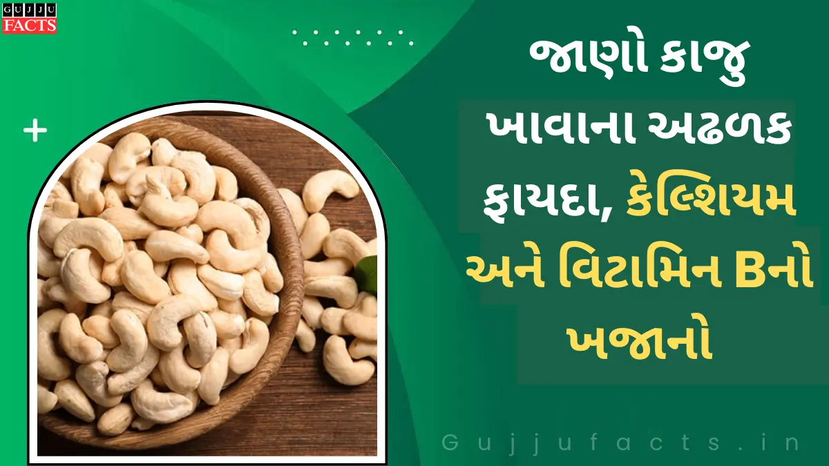 જાણો કાજુ ખાવાના અઢળક ફાયદા | કેલ્શિયમ અને વિટામિન Bનો ખજાનો | એક દિવસમાં કેટલા કાજુ ખાવા જોઇએ