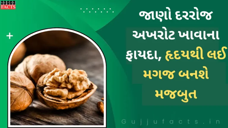 જાણો દરરોજ અખરોટ ખાવાના ફાયદા | હૃદયથી લઈ મગજ બનશે મજબુત