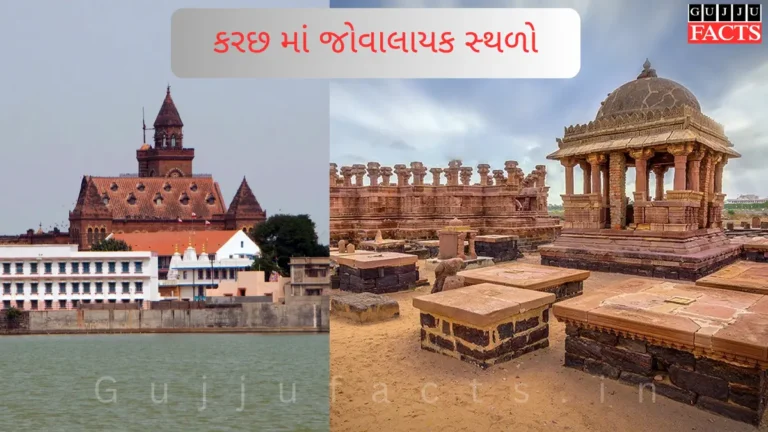 Best Places to Visit in Kutch: કરછ માં જોવાલાયક સ્થળો