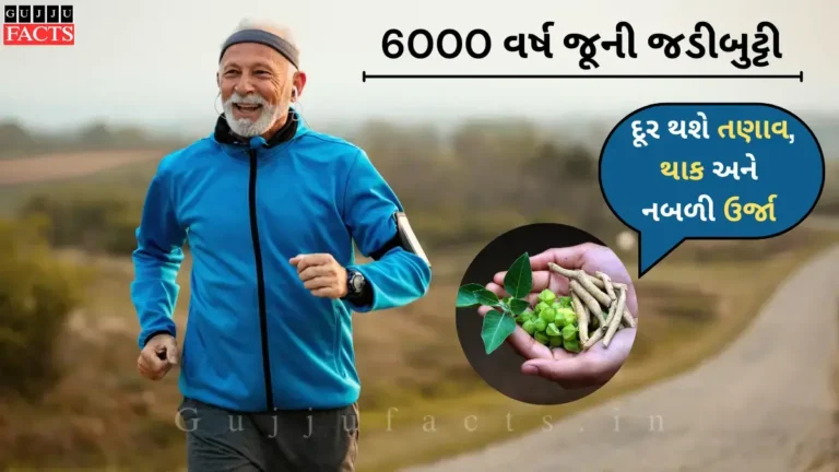 6000 વર્ષ જૂની જડીબુટ્ટી: અશ્વગંધાથી દૂર થશે તણાવ, થાક અને નબળી ઉર્જા