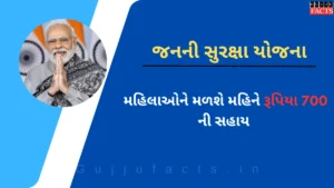 જનની સુરક્ષા યોજના: ગર્ભવતી મહિલાઓને મળશે ખાસ સરકારી સહાય, જાણો અરજી કરવાની સરળ રીત