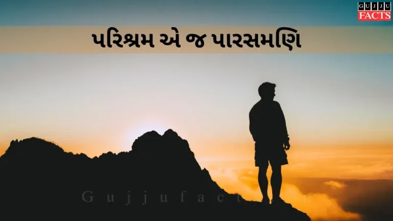 પરિશ્રમ એ જ પારસમણિ | પરિશ્રમ વિશે પંક્તિઓ (જીવનમાં શ્રમનું મહત્તવ)