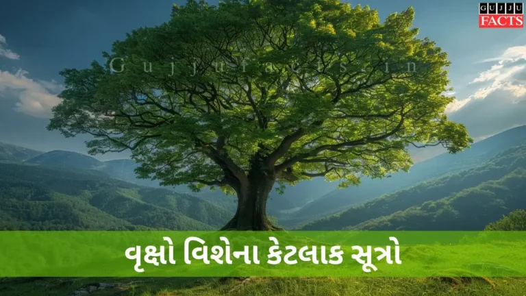 વૃક્ષો વિશેના કેટલાક સૂત્રો | વૃક્ષો વાવો પર્યાવરણ બચાવો (2025)