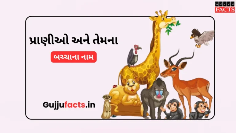 પ્રાણીઓ અને તેમના બચ્ચાના નામ | Animals & Animals Cubs Name In Gujarati and English