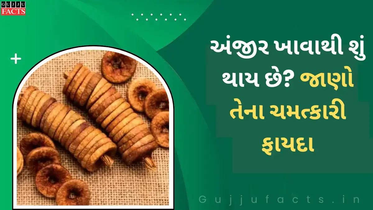અંજીર ખાવાથી શું થાય છે? જાણો તેના ચમત્કારી ફાયદા અને નુકસાન – કોણે રાખવી ખાસ કાળજી