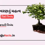પર્યાવરણનું મહત્વ નિબંધ ગુજરાતી | Environment Essay in Gujarati